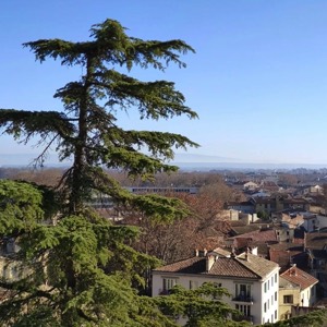 Views from Avignon 😎 (Dec 2021) #france #avignon